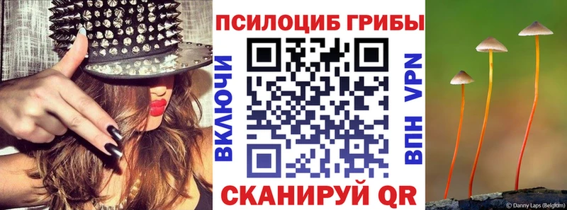 Псилоцибиновые грибы Cubensis  где купить наркоту  Алдан 